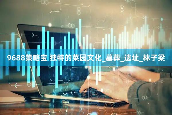 9688策略宝 独特的菜园文化_墓葬_遗址_林子梁