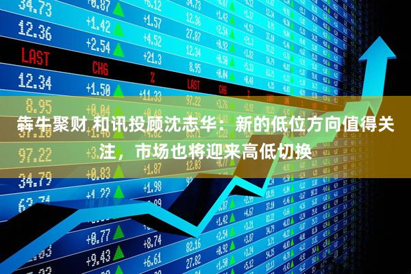 犇牛聚财 和讯投顾沈志华：新的低位方向值得关注，市场也将迎来高低切换