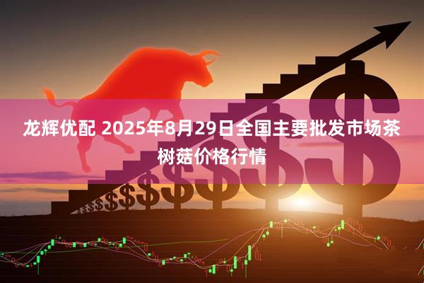 龙辉优配 2025年8月29日全国主要批发市场茶树菇价格行情