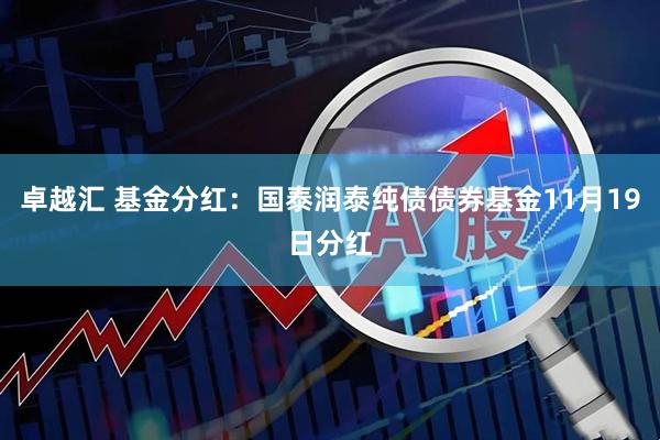 卓越汇 基金分红:国泰润泰纯债债券基金11月19日分红