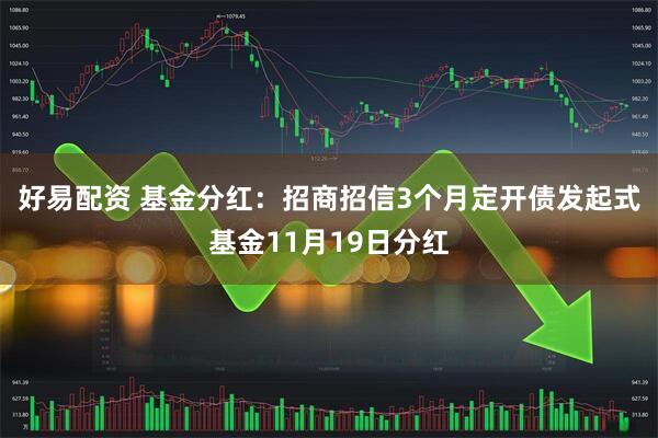 好易配资 基金分红:招商招信3个月定开债发起式基金11月19日分红