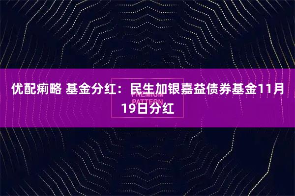 优配痢略 基金分红:民生加银嘉益债券基金11月19日分红