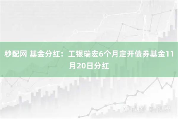 秒配网 基金分红：工银瑞宏6个月定开债券基金11月20日分红