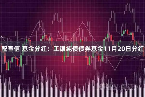 配查信 基金分红：工银纯债债券基金11月20日分红