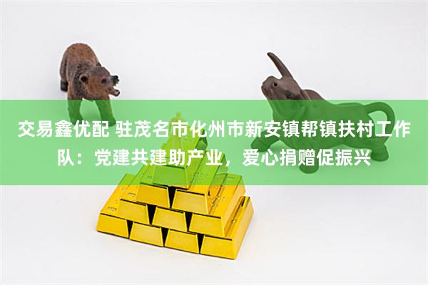 交易鑫优配 驻茂名市化州市新安镇帮镇扶村工作队：党建共建助产业，爱心捐赠促振兴